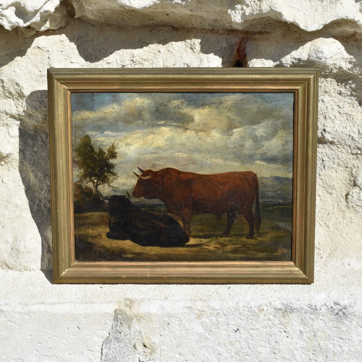 &Eacute;cole du XIXe si&egrave;cle - Couple de taureaux - Huile sur toile-photo-3