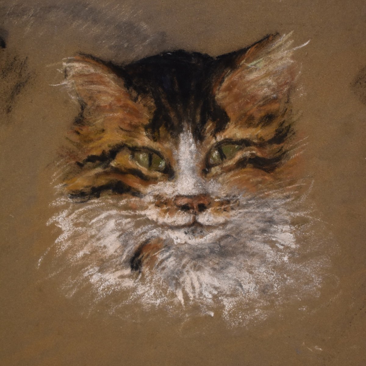 Suzanne Fricquegnon (1897-1982) - étude de chat - pastel - 1920-photo-1