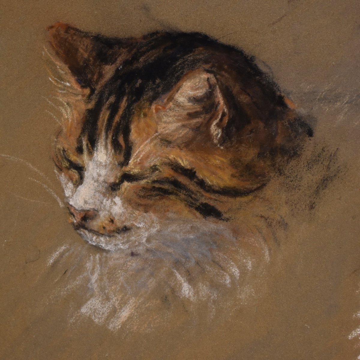 Suzanne Fricquegnon (1897-1982) - étude de chat - pastel - 1920-photo-2