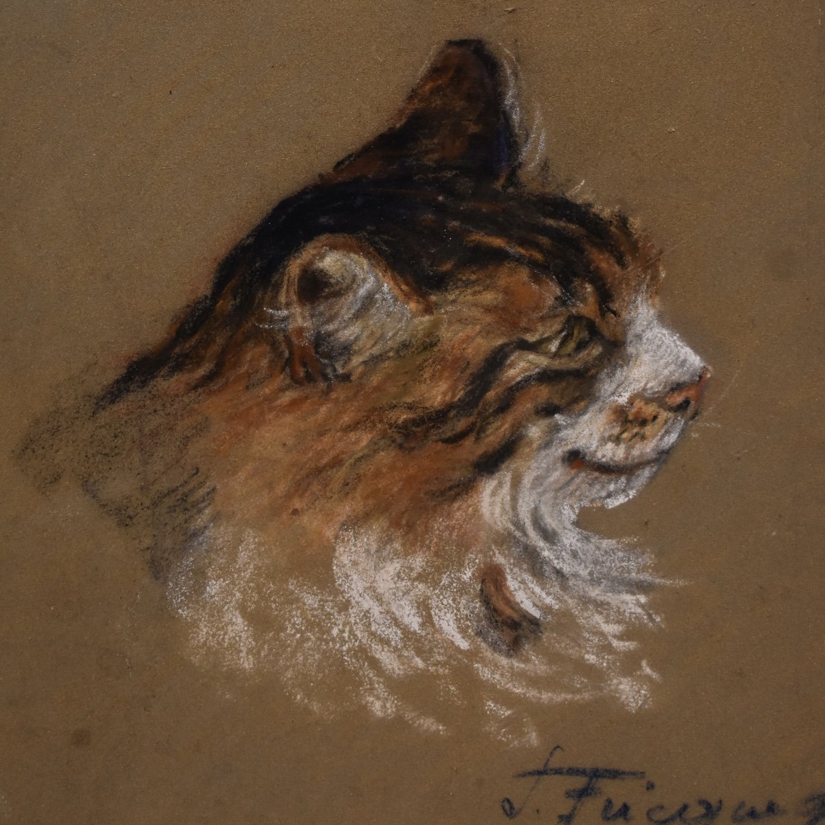 Suzanne Fricquegnon (1897-1982) - étude de chat - pastel - 1920-photo-3