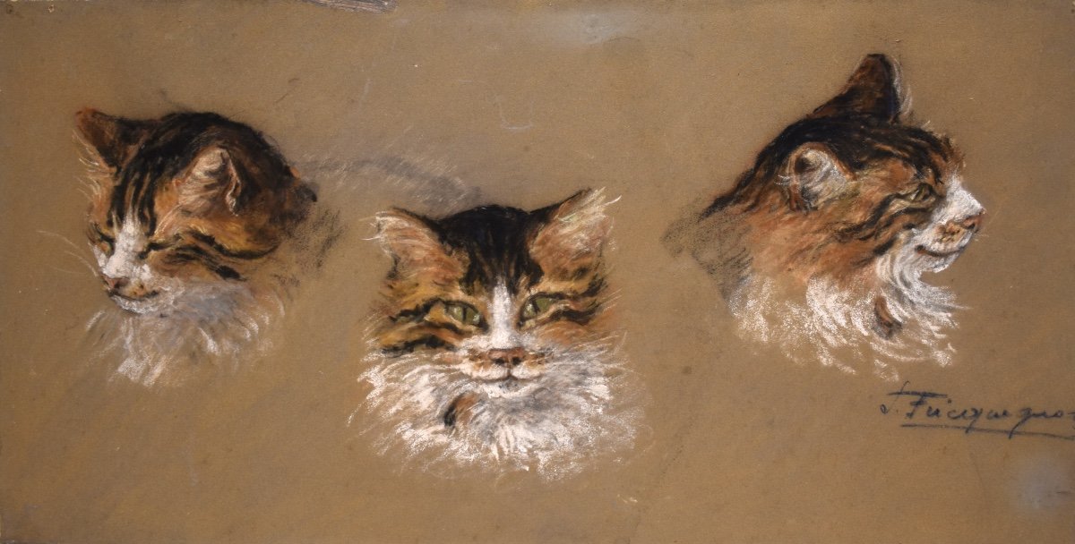 Suzanne Fricquegnon (1897-1982) - étude de chat - pastel - 1920