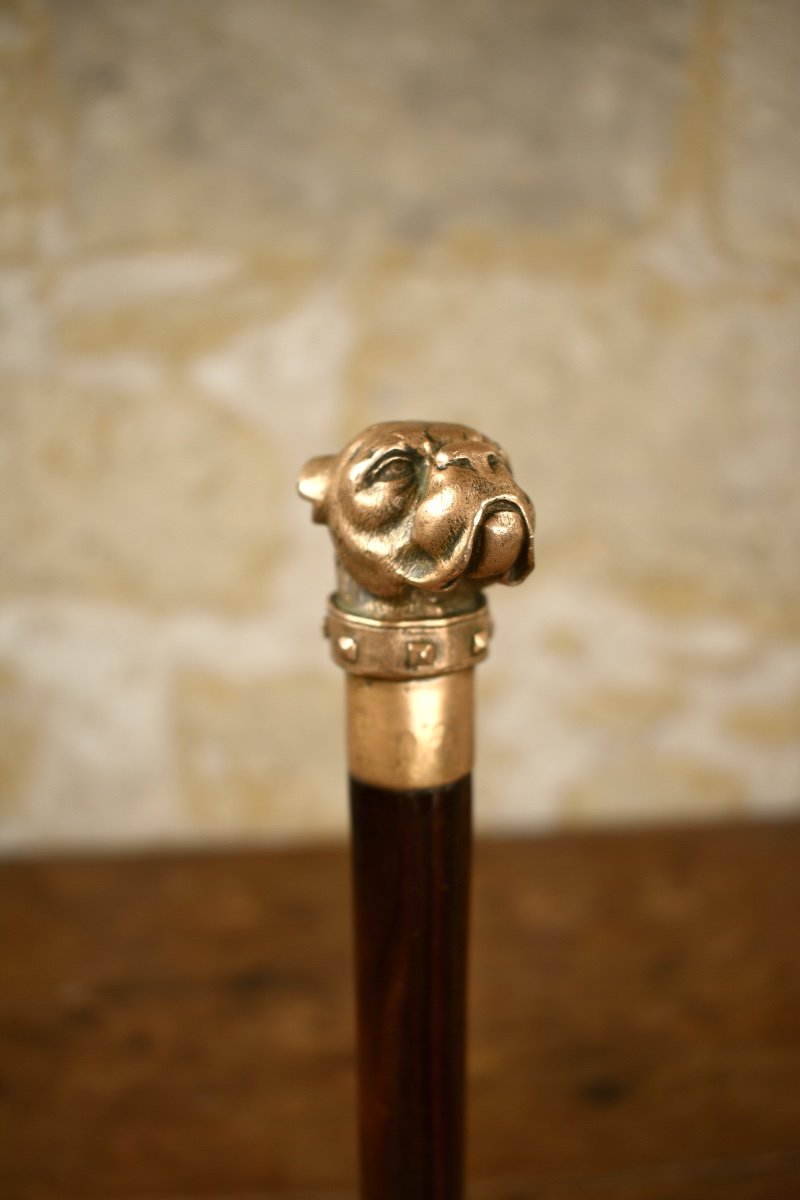 Self-defence Walking Stick With A Boxer Bronze Dog Head - Late 19th -photo-3