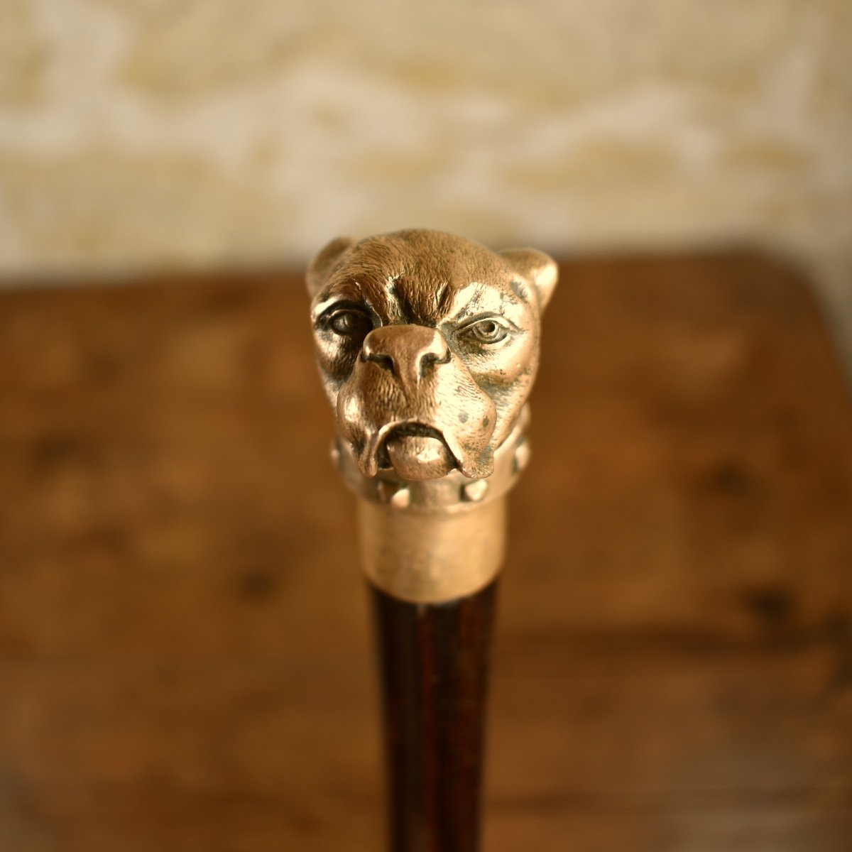 Self-defence Walking Stick With A Boxer Bronze Dog Head - Late 19th -photo-2