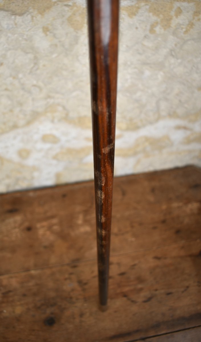 Self-defence Walking Stick With A Boxer Bronze Dog Head - Late 19th -photo-5