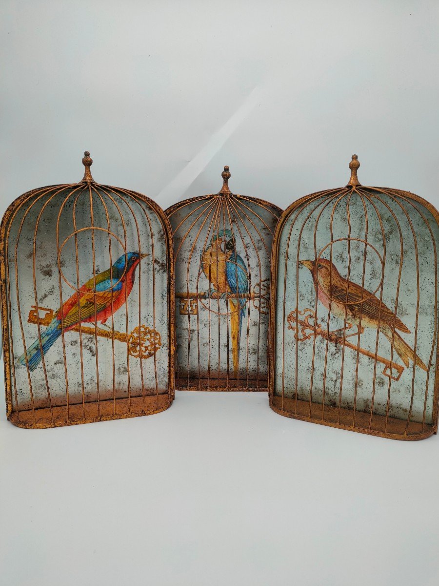 Cage A Oiseaux En Verre 