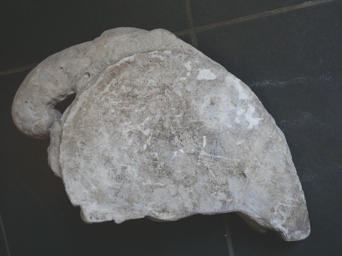 17th Century Limestone Head-photo-4