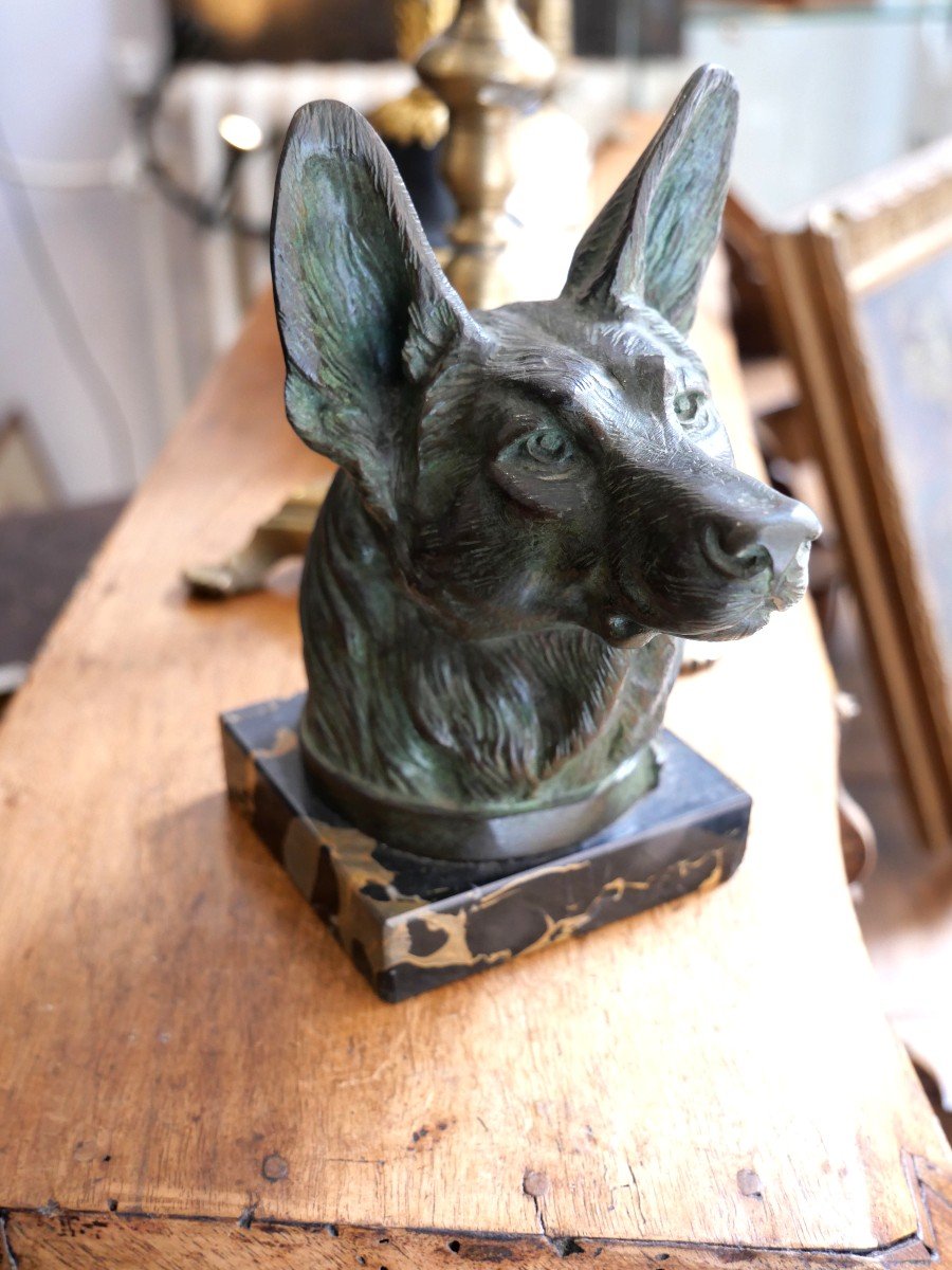 Dog Head In Patinated Bronze