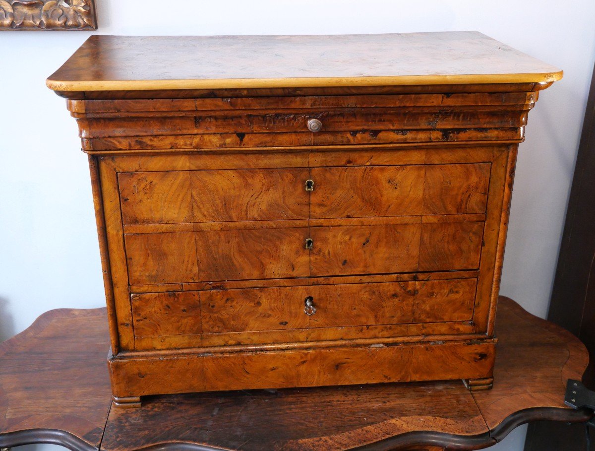 19th Century Miniature Chest Of Drawers