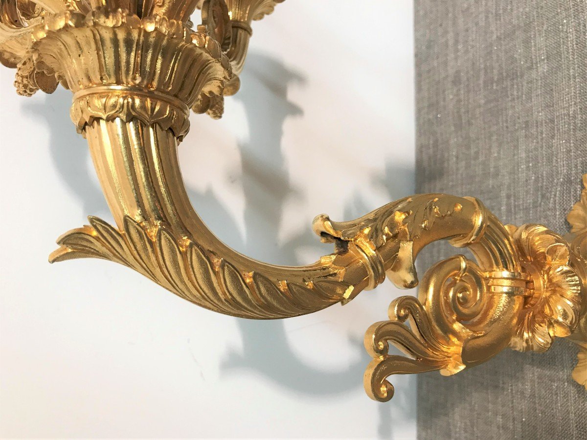 Large Pair Of Gilt Bronze Sconces, Restoration Period-photo-1