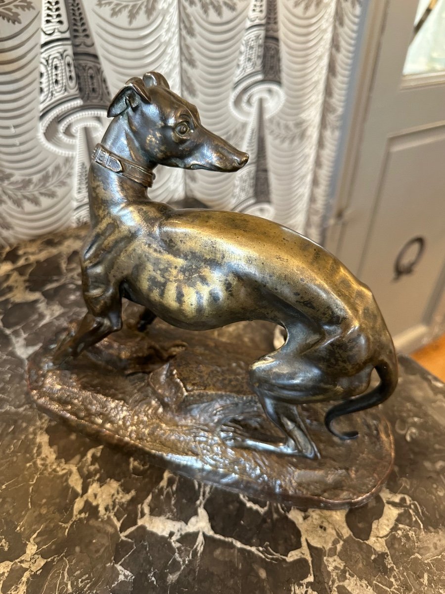 Greyhound And Hare Bronze Signed Théodore Gechter 19th-photo-3