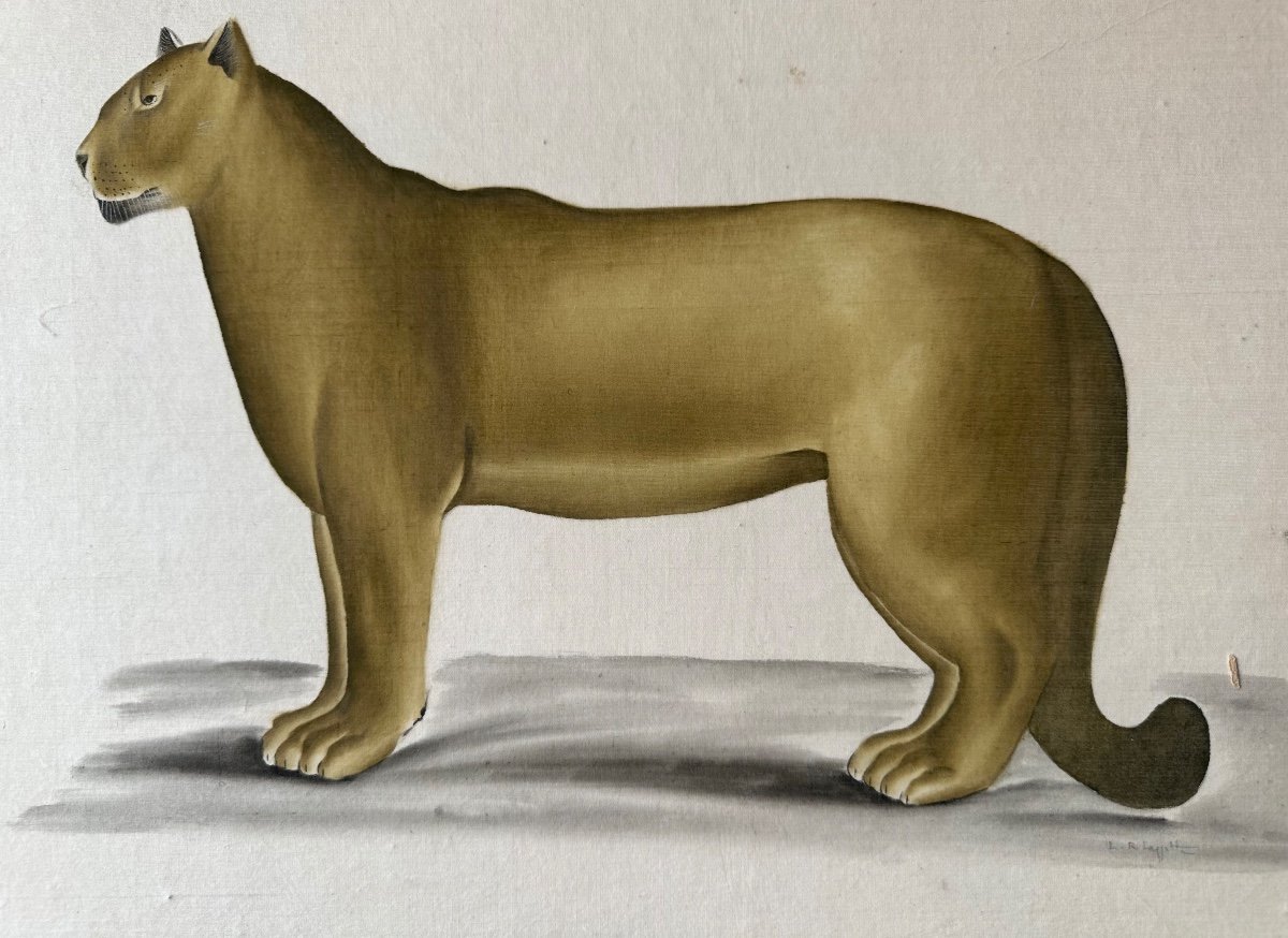 Watercolor By Laroche Laffitte The Puma 1960