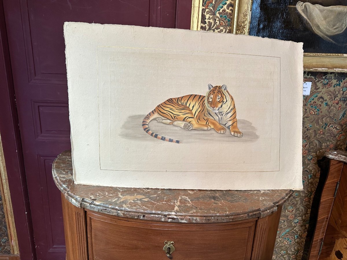 Watercolor The Tiger By La Roche Laffitte  -photo-2