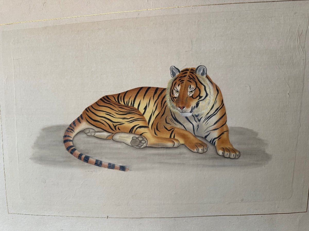 Watercolor The Tiger By La Roche Laffitte  -photo-2