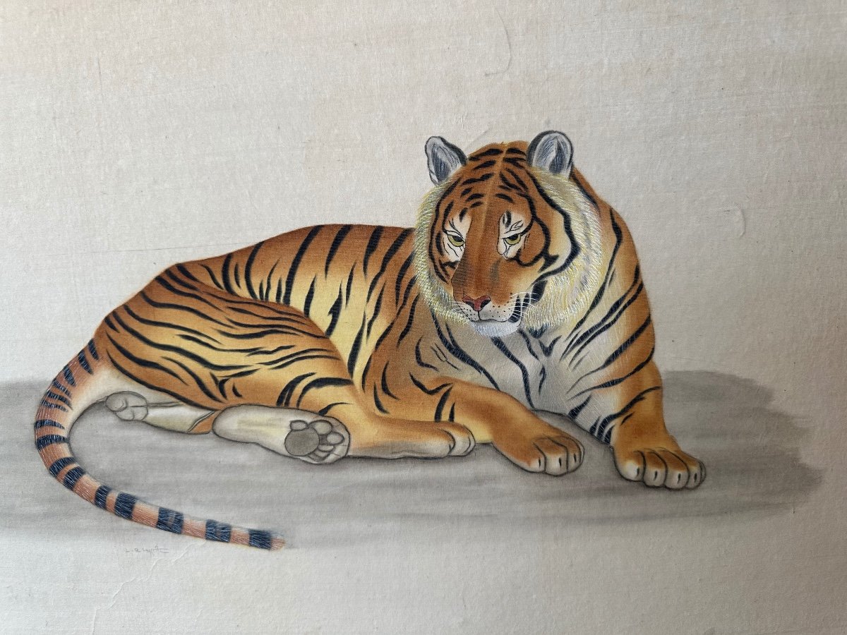 Watercolor The Tiger By La Roche Laffitte  