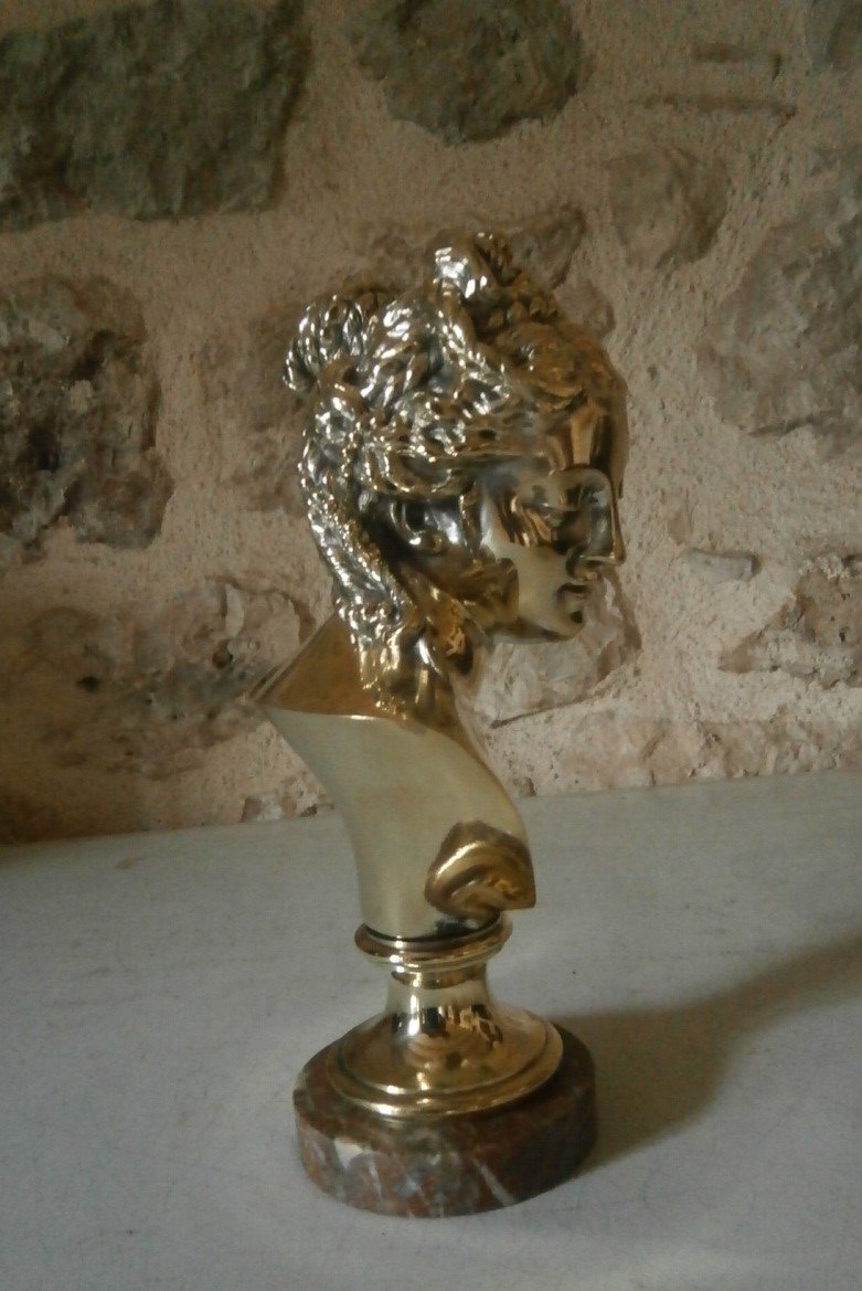 Buste En Bronze .-photo-3