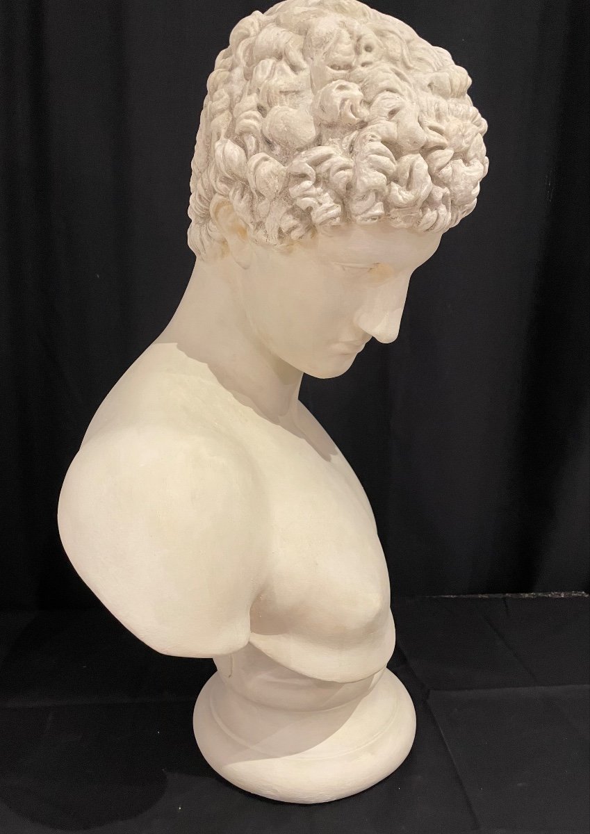 Large Plaster Bust After The Antique Of The God Hermes Called “antinoüs Albani”-photo-3