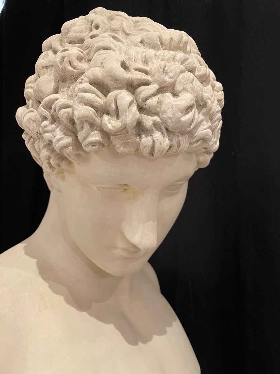 Large Plaster Bust After The Antique Of The God Hermes Called “antinoüs Albani”-photo-1