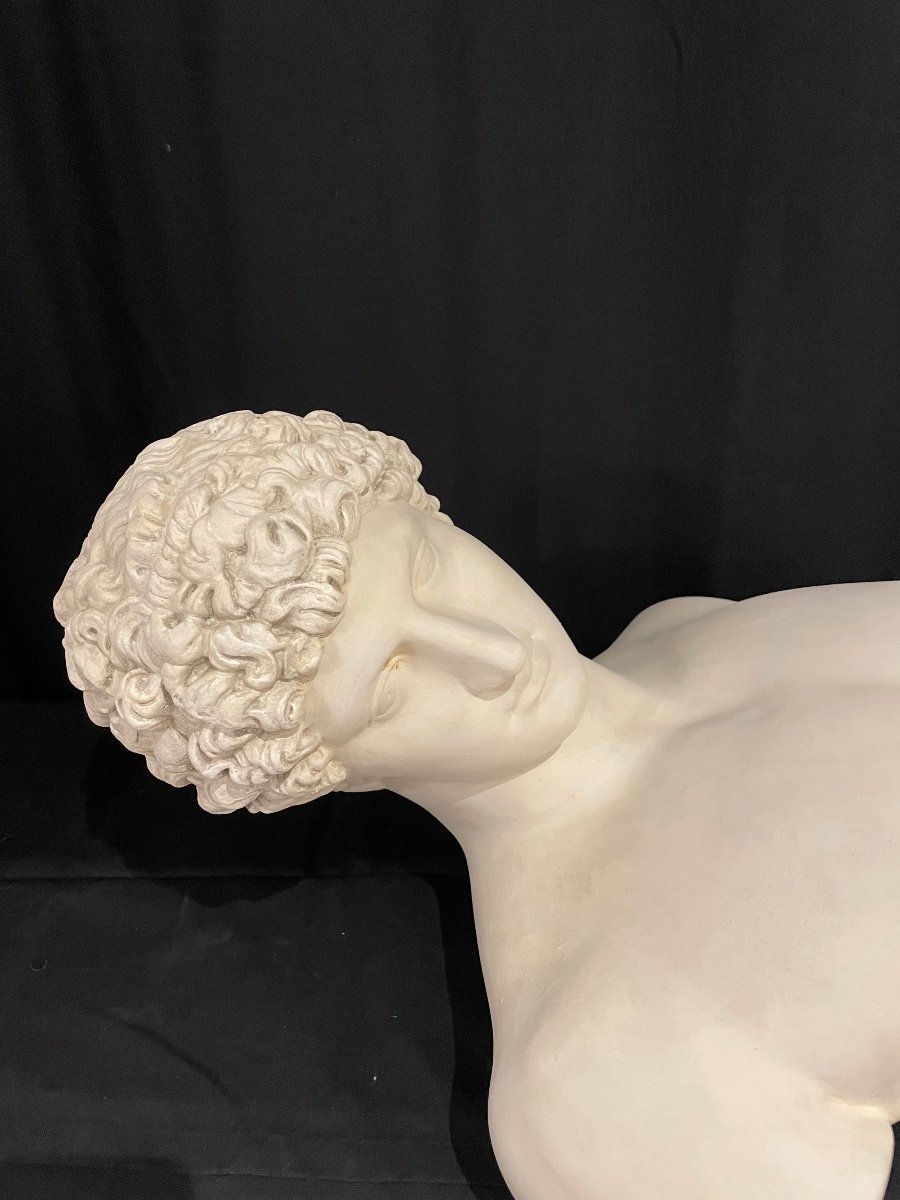 Large Plaster Bust After The Antique Of The God Hermes Called “antinoüs Albani”-photo-7