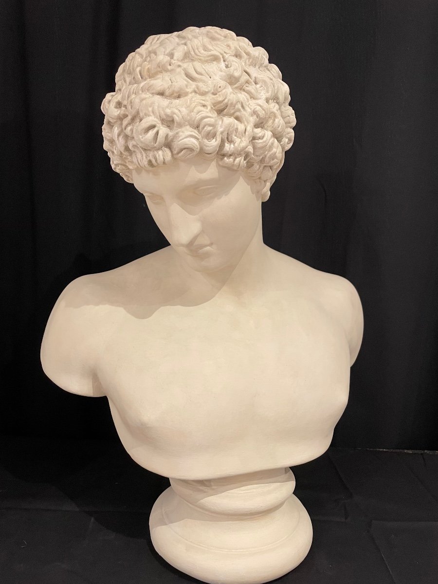 Large Plaster Bust After The Antique Of The God Hermes Called “antinoüs Albani”