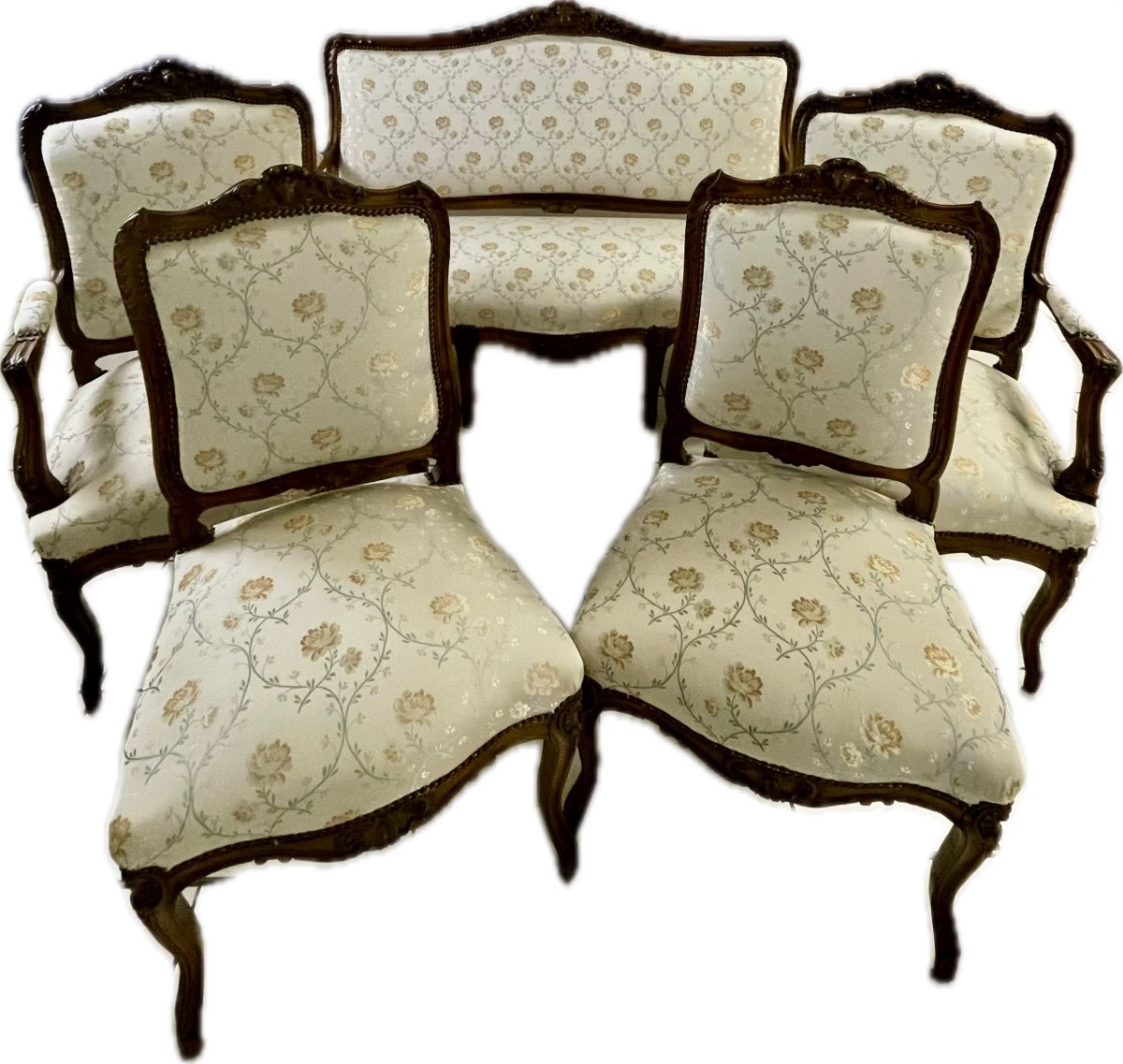 Salon Style Louis XV Noyer