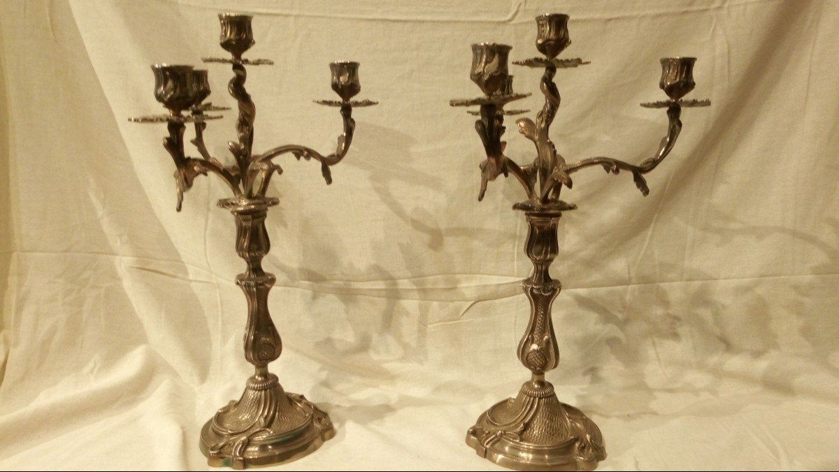 Pair Of Louis XV Silvered Bronze Candelabra, 19th Time.