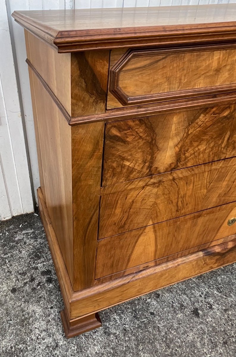 Louis Philippe Chest Of Drawers, Late 19th Century, Burl Walnut-photo-1