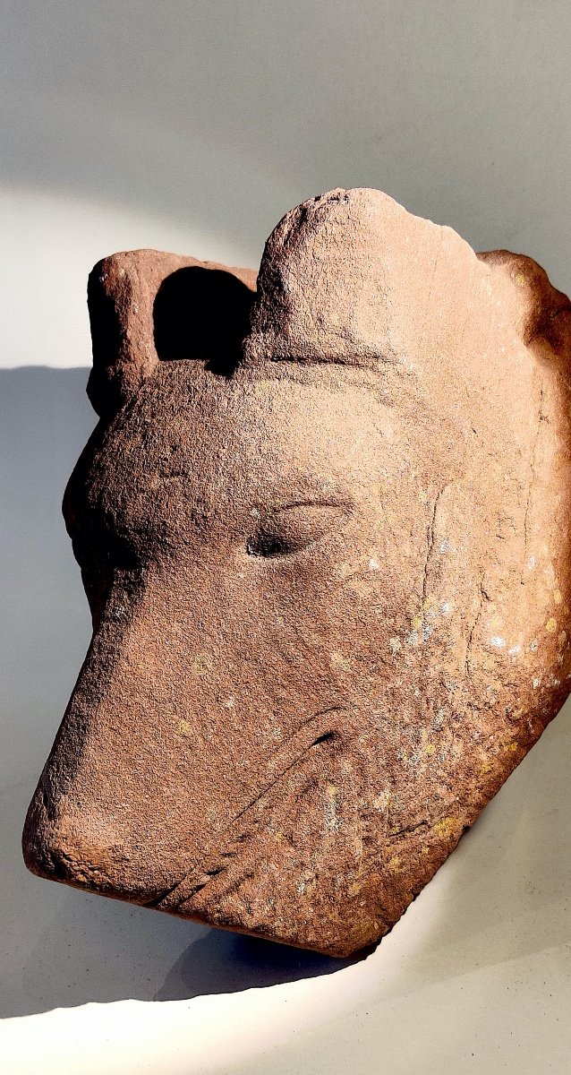  Rare élément Haute Epoque,  pierre sculptée " Tête De Loup" , Est de La France XVI/ XVIIème .-photo-1