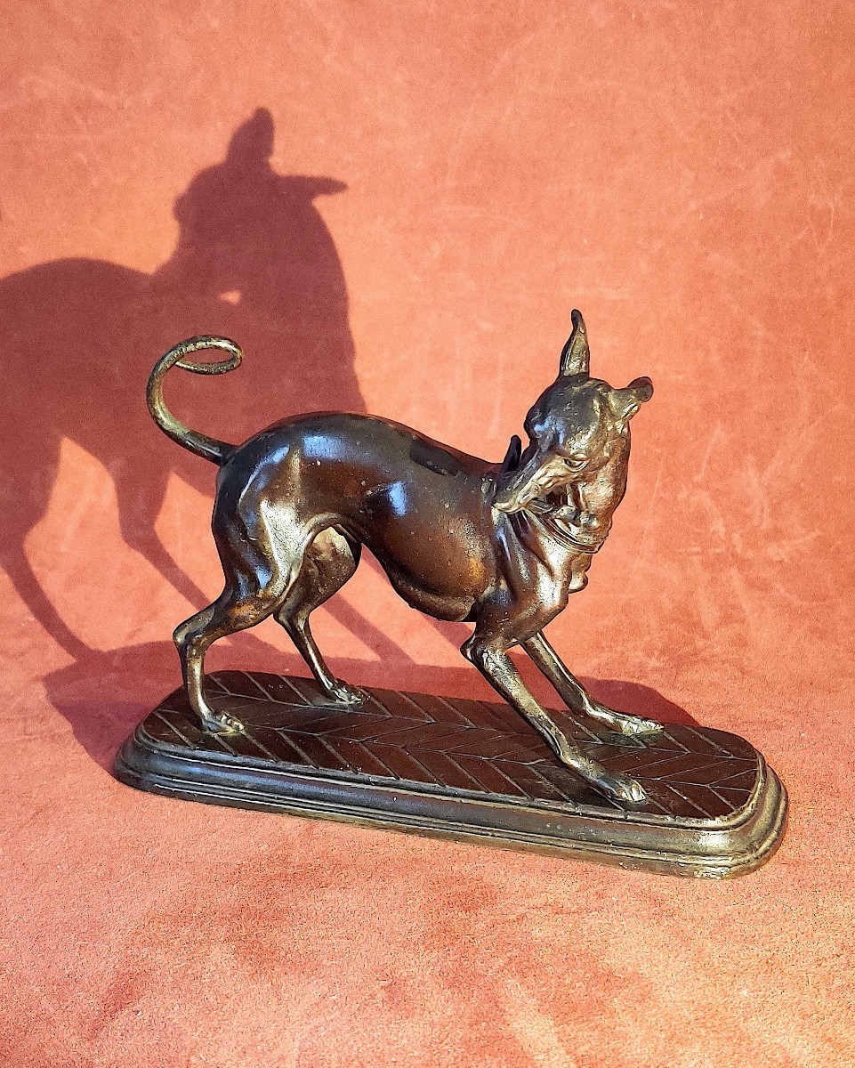 Sculpture "greyhound Playing With A Branch" In Patinated Bronze Spelter, Ec Fr, 19th Century -photo-2