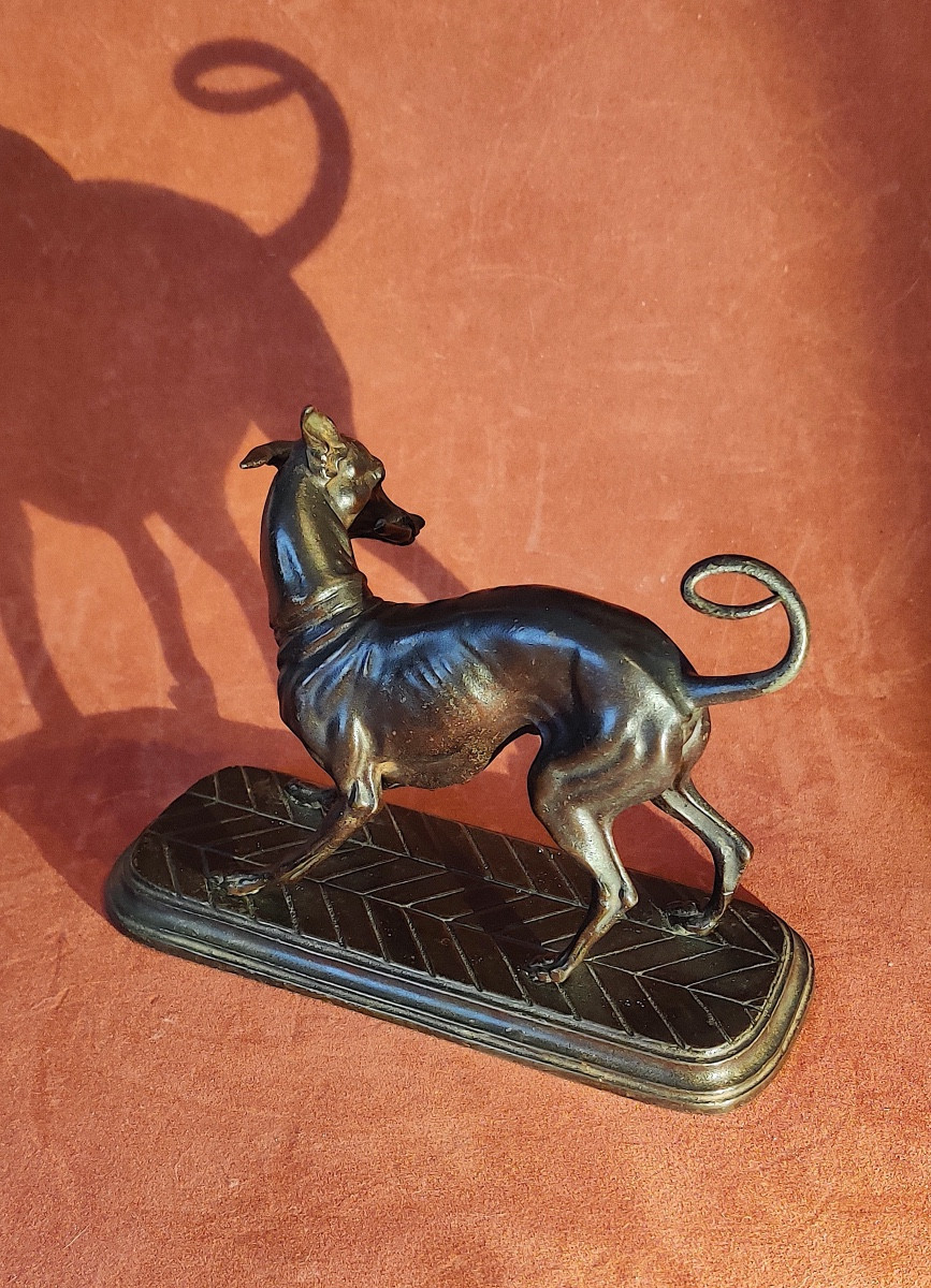 Sculpture "greyhound Playing With A Branch" In Patinated Bronze Spelter, Ec Fr, 19th Century -photo-4