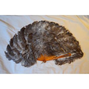 Ostrich Feather Fan. Second Half Of The Nineteenth Century.