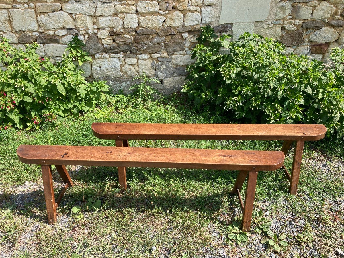 Pair Of 19th Century Fruitwood Benches-photo-2