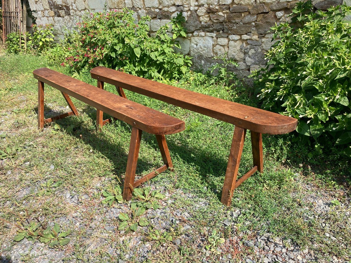 Pair Of 19th Century Fruitwood Benches