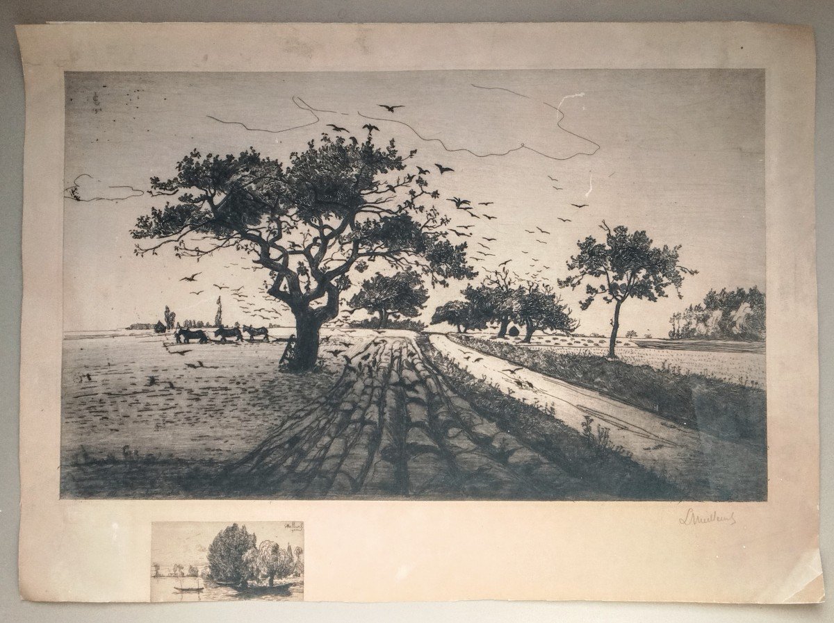  - Engraving - Large Etching By Georges Le Meilleur - Plowing From 1910 --photo-3