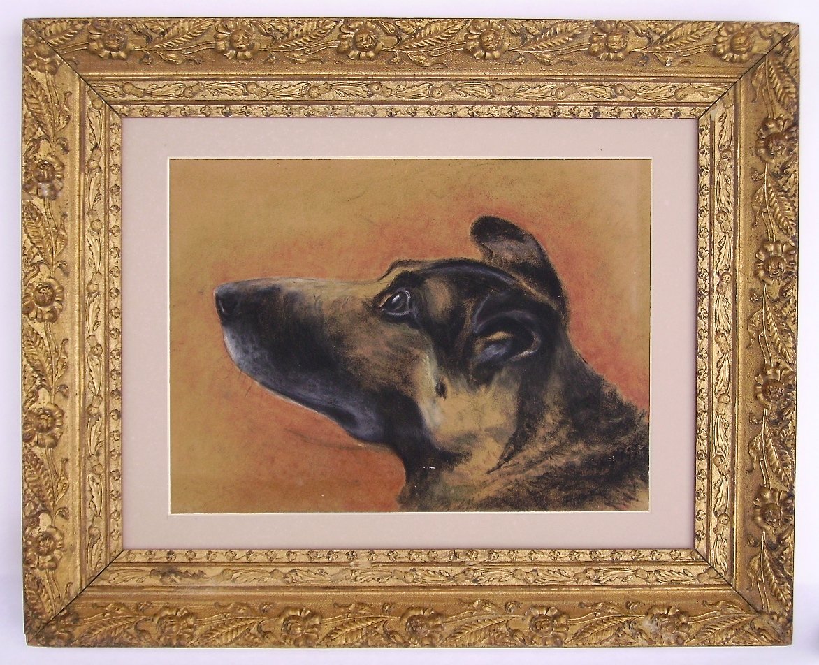  -  Pastel  Ancien  Encadré  De  Chien  Vue  De  Profil  -  Chiot  Racé  --photo-2