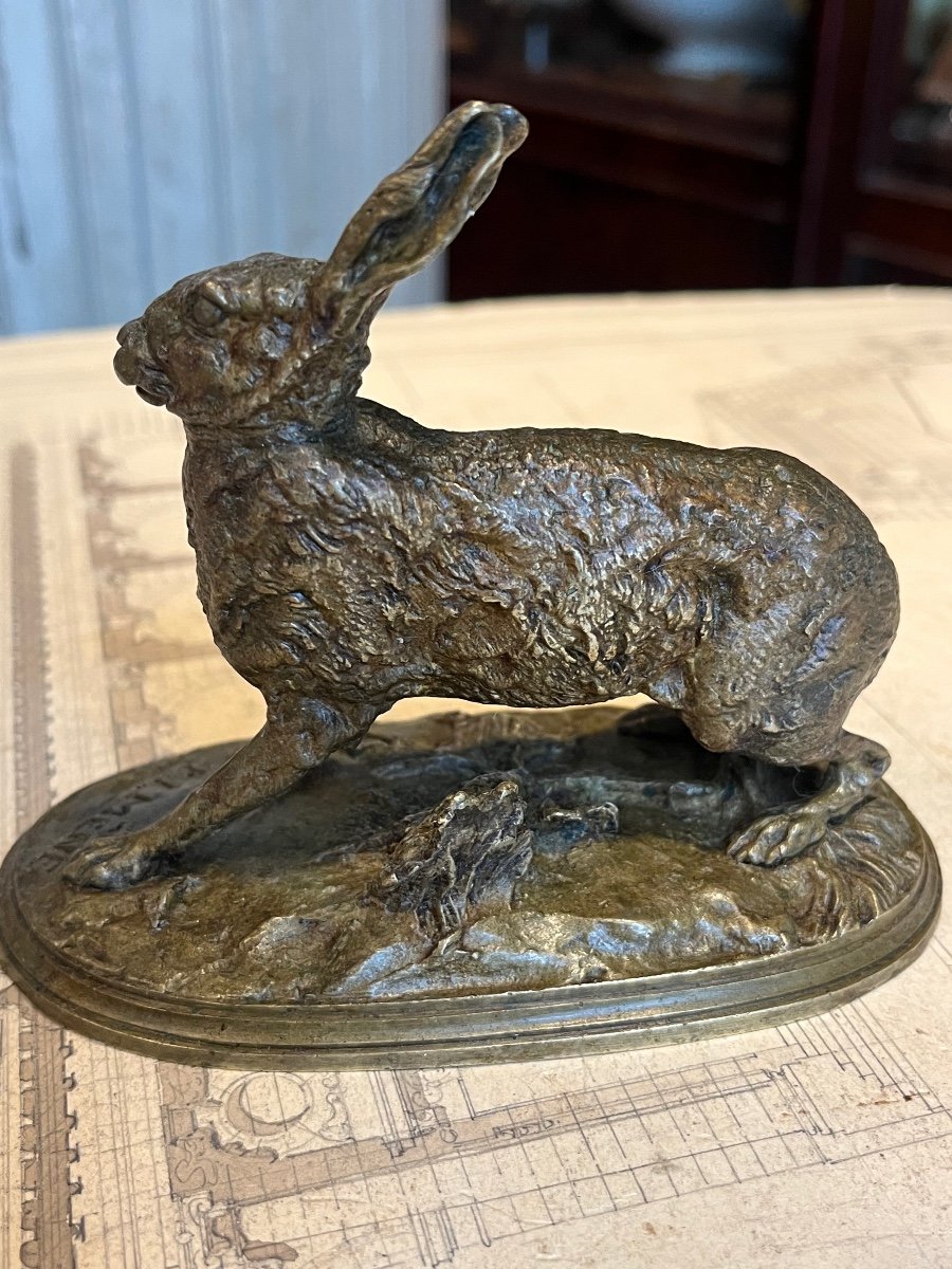 Hare At Rest After Pierre Jules Mêne.-photo-1