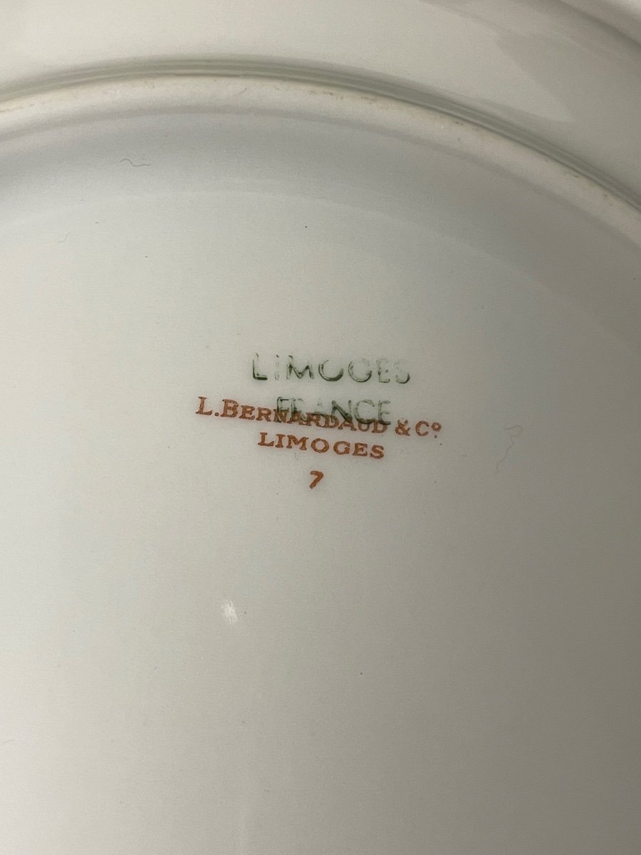 Bernardaud - Series Of 24 Golden Limoges Porcelain Plates -photo-7