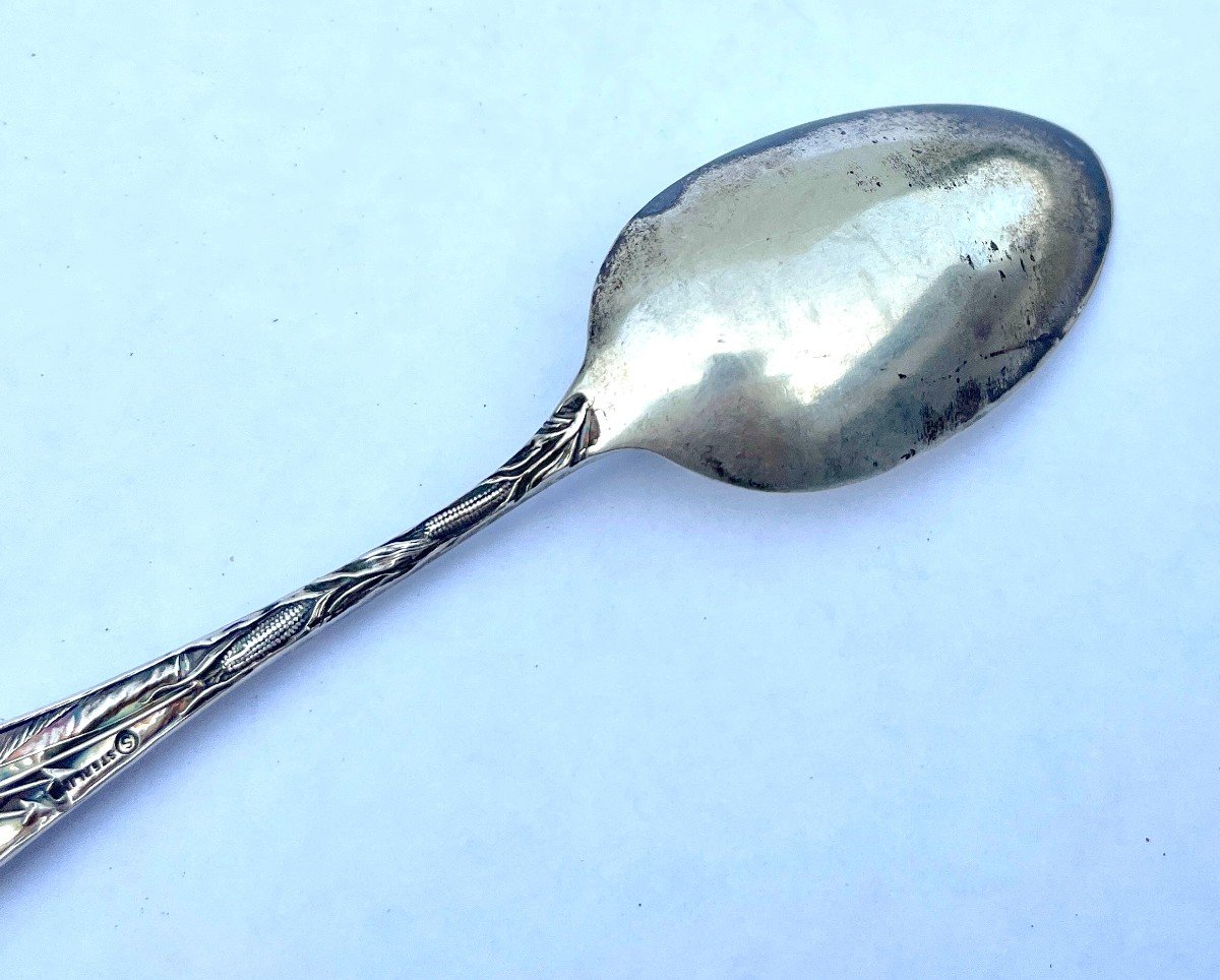 Sterling Silver Spoons : Niagara Falls And The Last Sacrifice Niagara Falls - Ny-photo-6