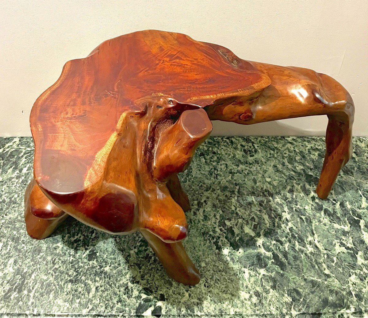 Table Basse En Racines De Bois Exotique-photo-3