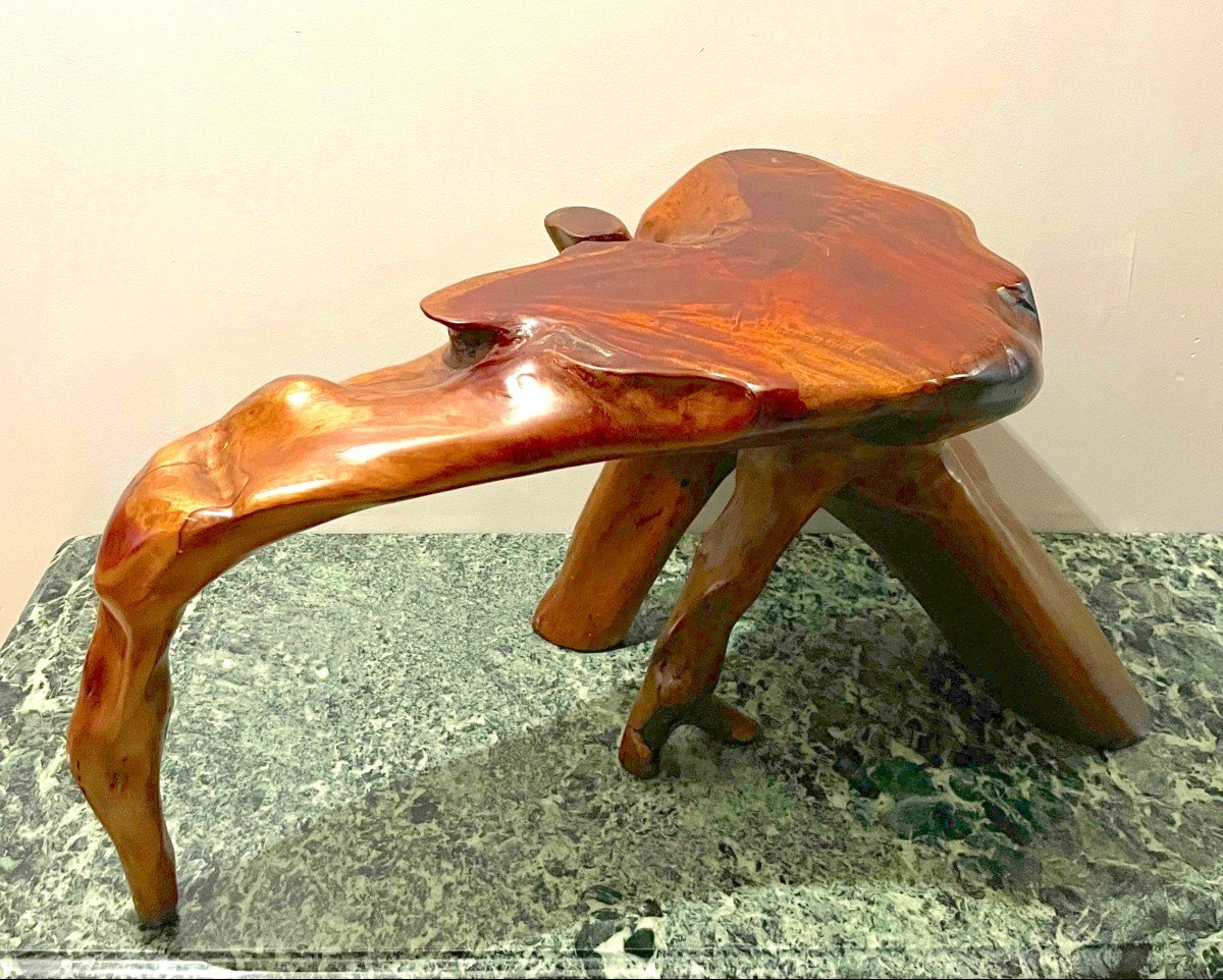 Table Basse En Racines De Bois Exotique-photo-6