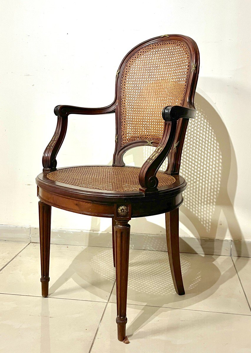 19th Century Lxvi Style Mahogany And Bronze Armchair-photo-1