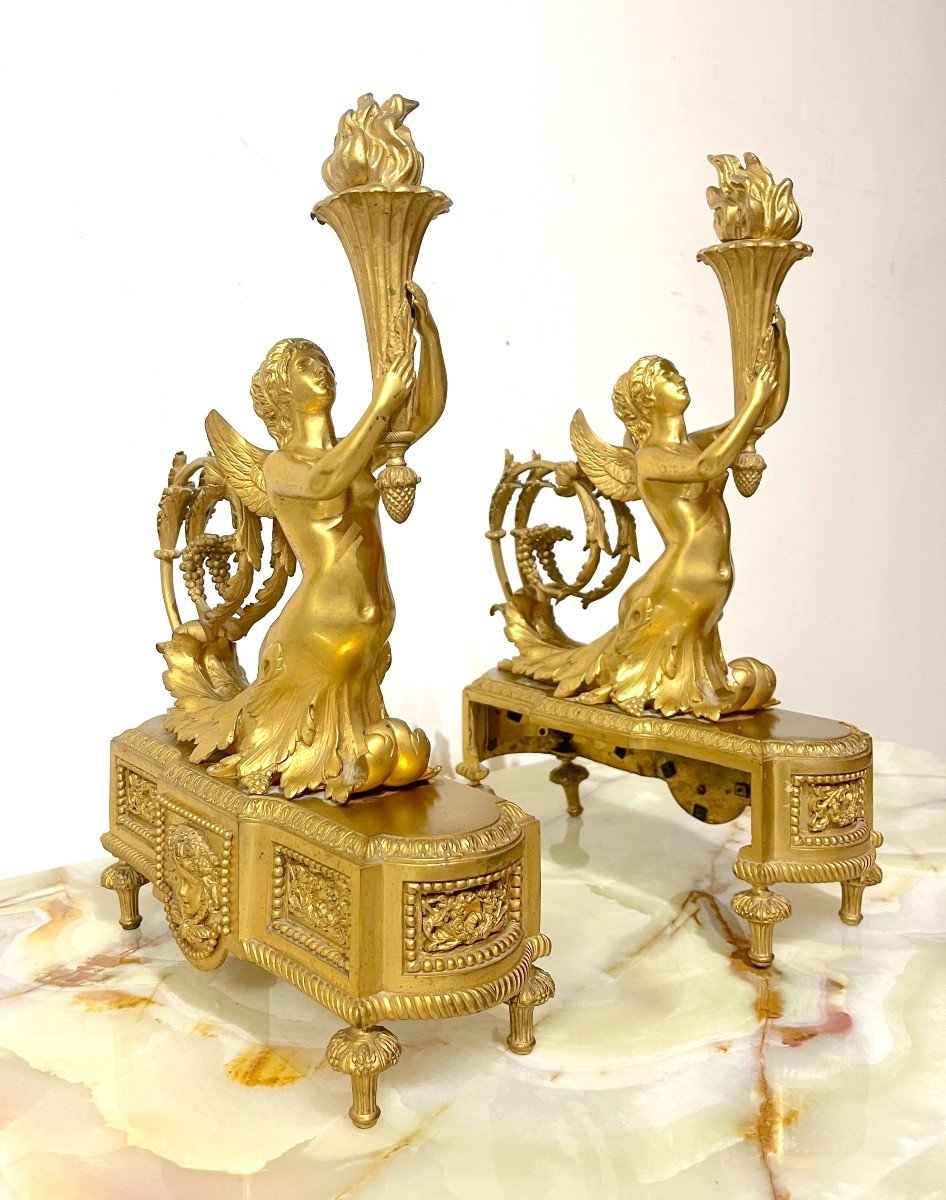 Gilt Bronze Andirons Napoleon III Style Lxvi-photo-3