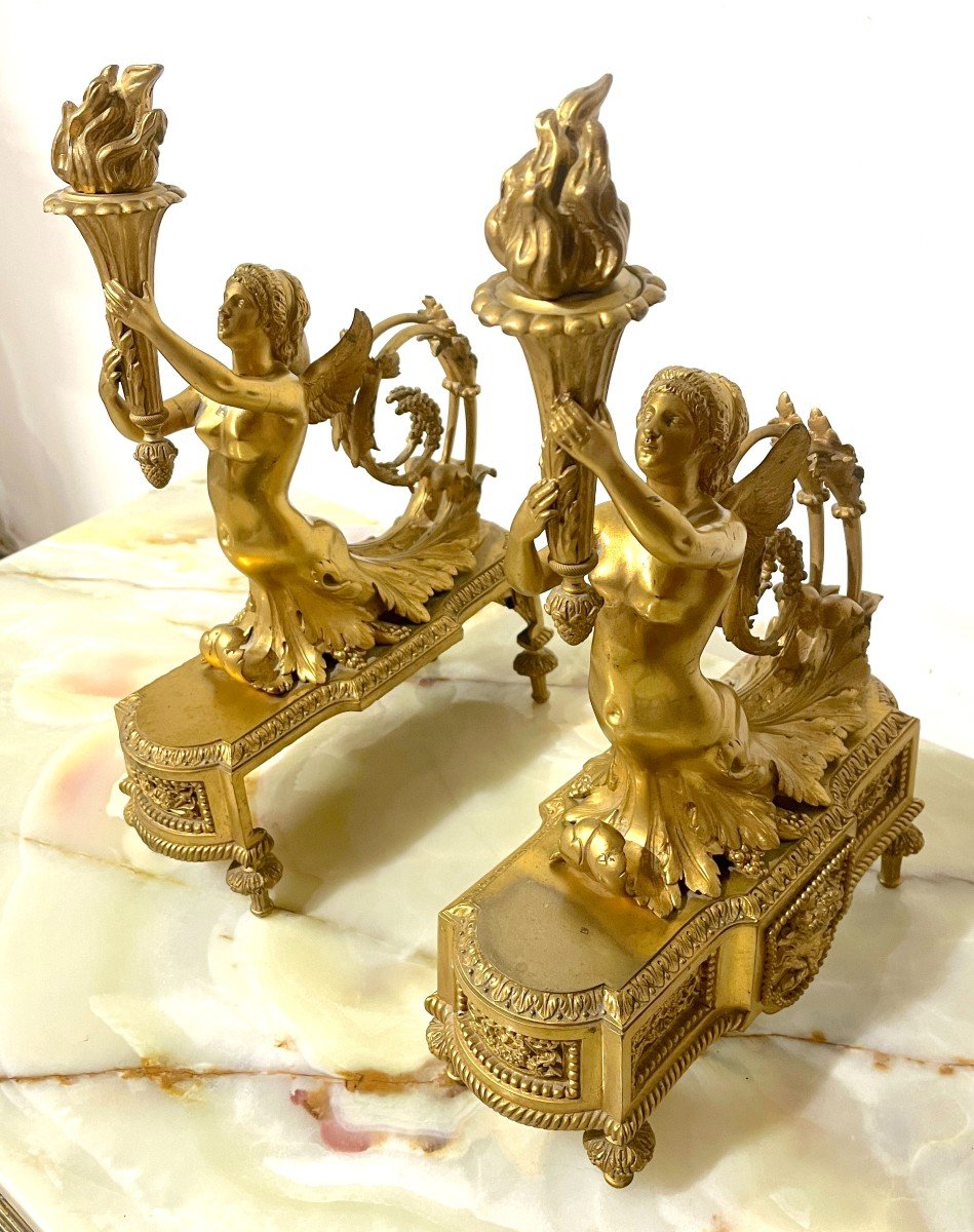 Gilt Bronze Andirons Napoleon III Style Lxvi-photo-1