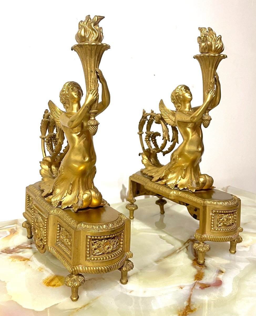 Gilt Bronze Andirons Napoleon III Style Lxvi-photo-2