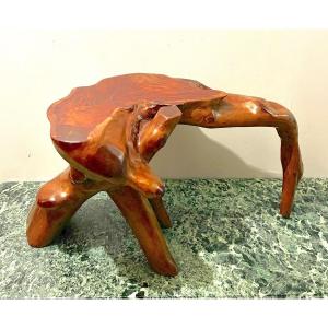 Exotic Wood Root Coffee Table