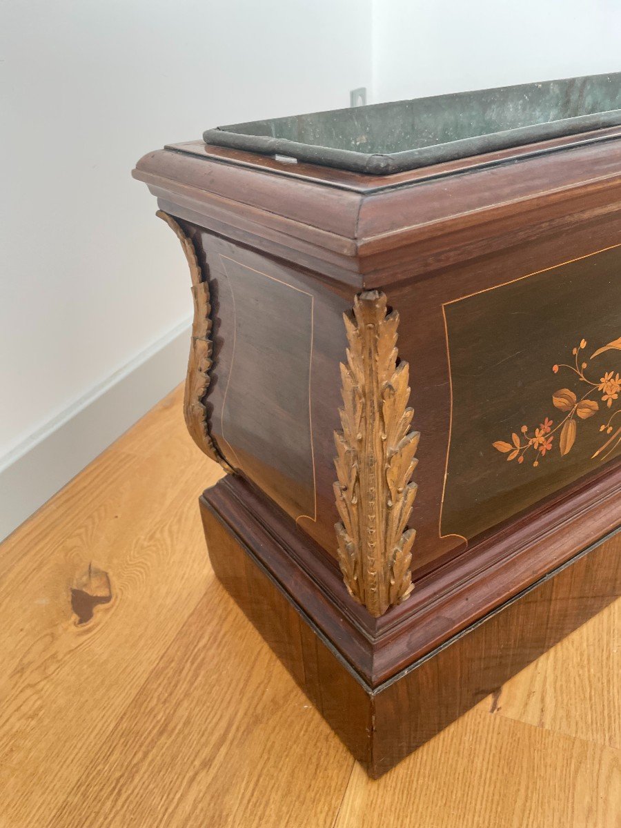  13th Century Planter In Marquetted Mahogany And Bronze-photo-6