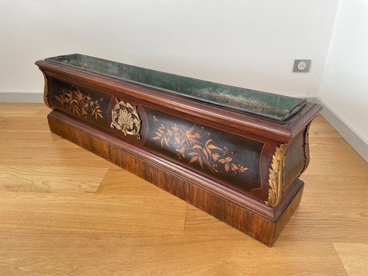  13th Century Planter In Marquetted Mahogany And Bronze