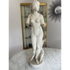 Vénus Médicis En Albâtre Sculpté