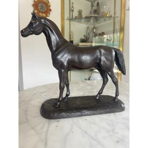 Pierre Jules Mene (1810-1879) d'Après.  Bronze Cheval à Patine Brune 