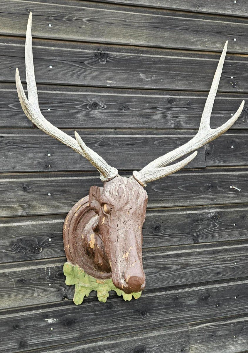 Tête De Cerf En Bois Sculpté Avec Bois Véritable