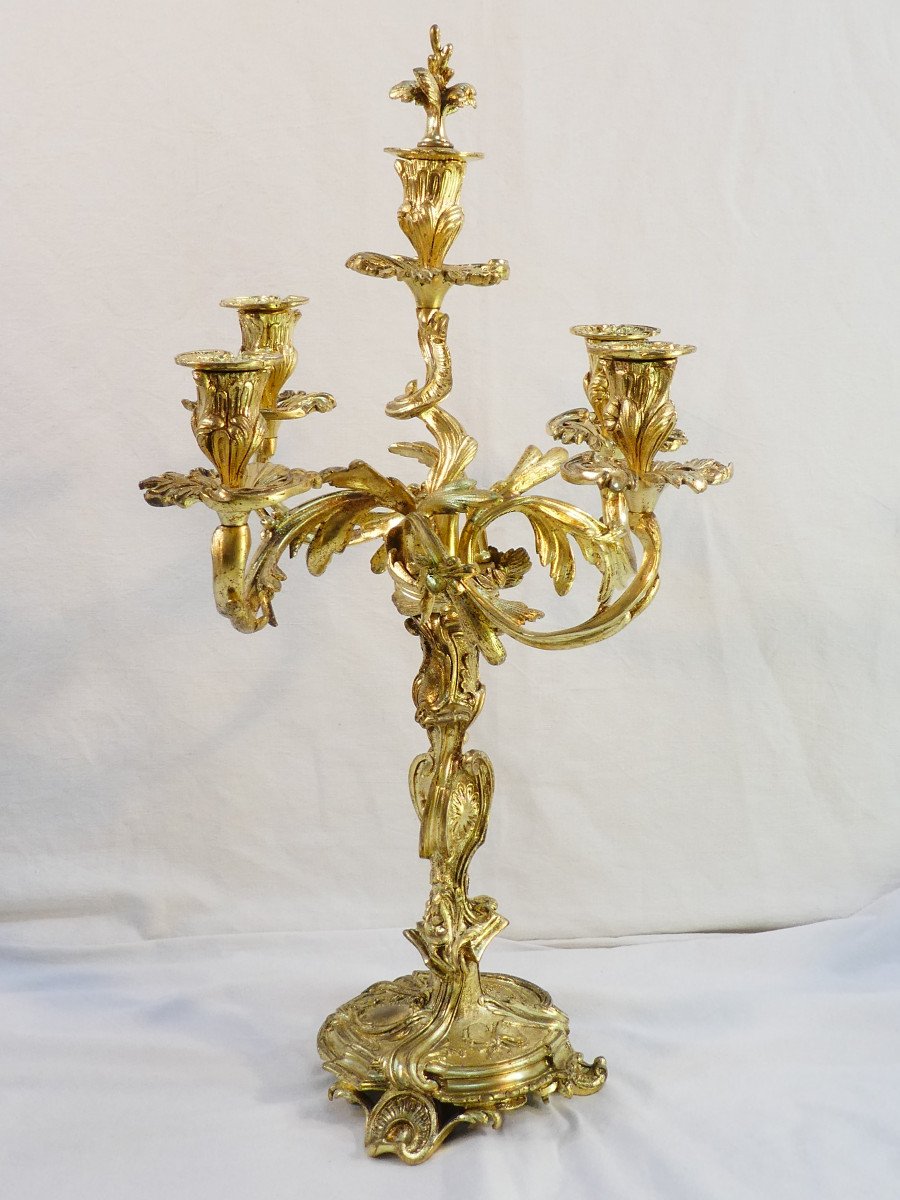 Grande Paire de candelabres en bronze doré de style LOUIS XV-photo-1